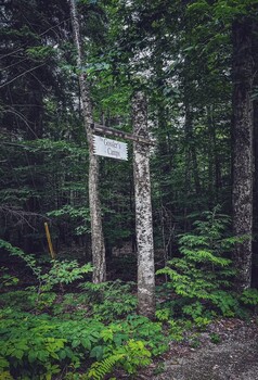 IMG_1393.jpg